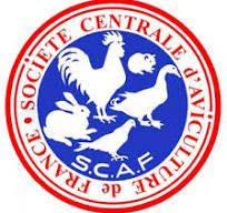 Scaf